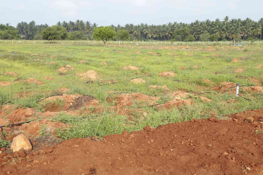 Veerappan GaneshGardenPoomalur1